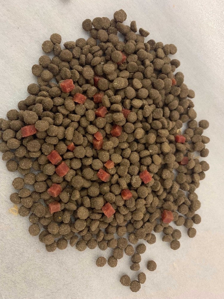 狗粮厂家批发